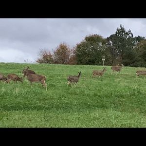 Meet your Posher, Stephen